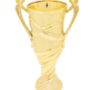 Plastic Texture Cup