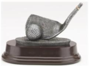 GENERIC GOLF CLUB -WEDGE/GOLD TRIM
