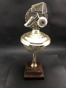 Gold Soccer Trophy