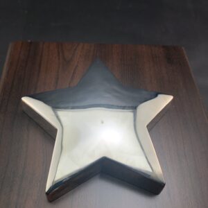 SILVER STAR AWARD